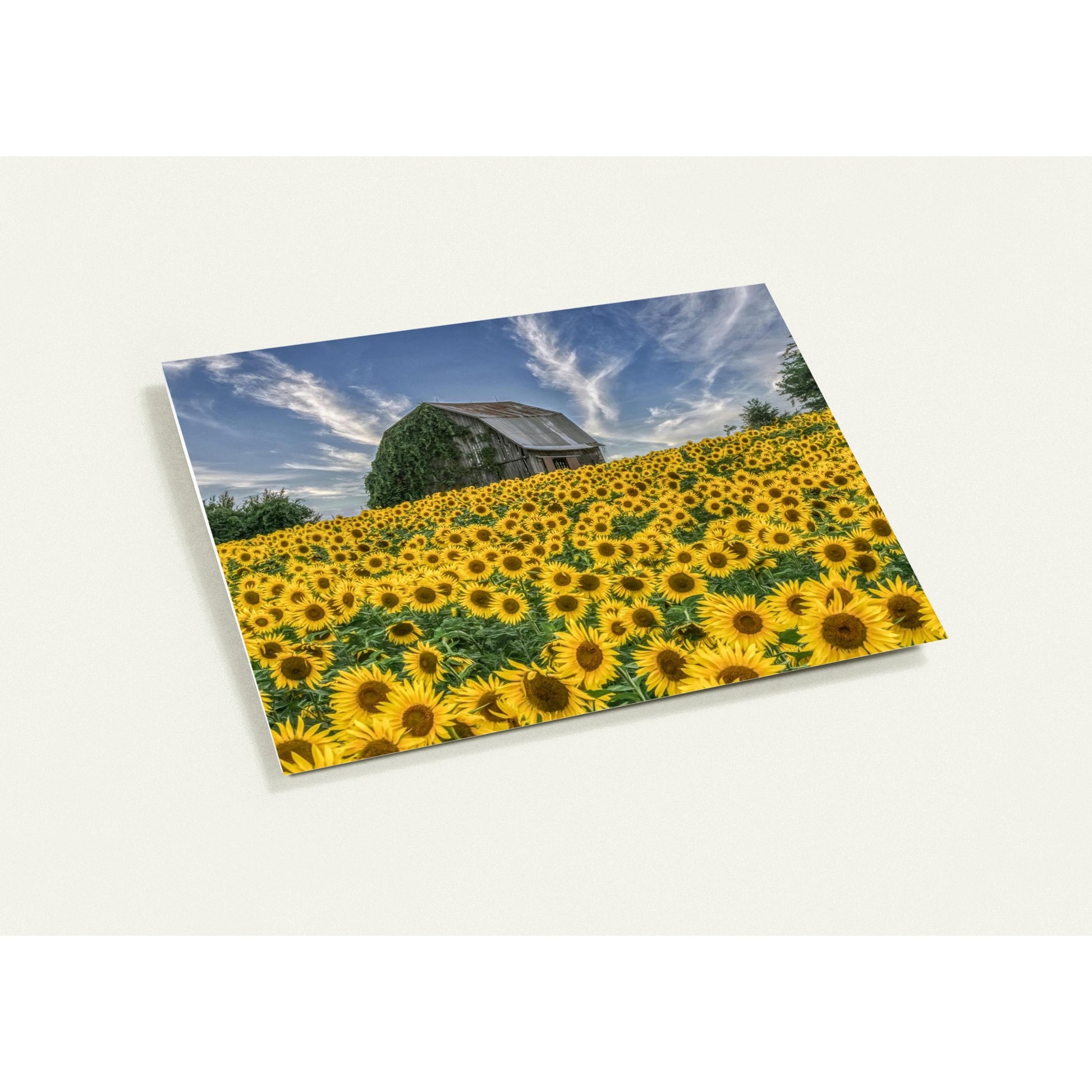 efbcbd15-2f9b-4b7a-9524-8b46b3e37029