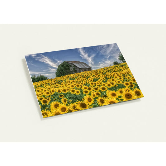 efbcbd15-2f9b-4b7a-9524-8b46b3e37029