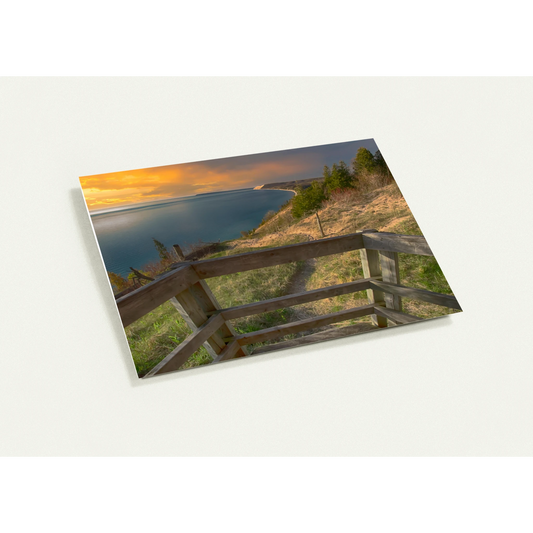 f6ff001e-cc50-414b-9ad0-6a01af4fcb02