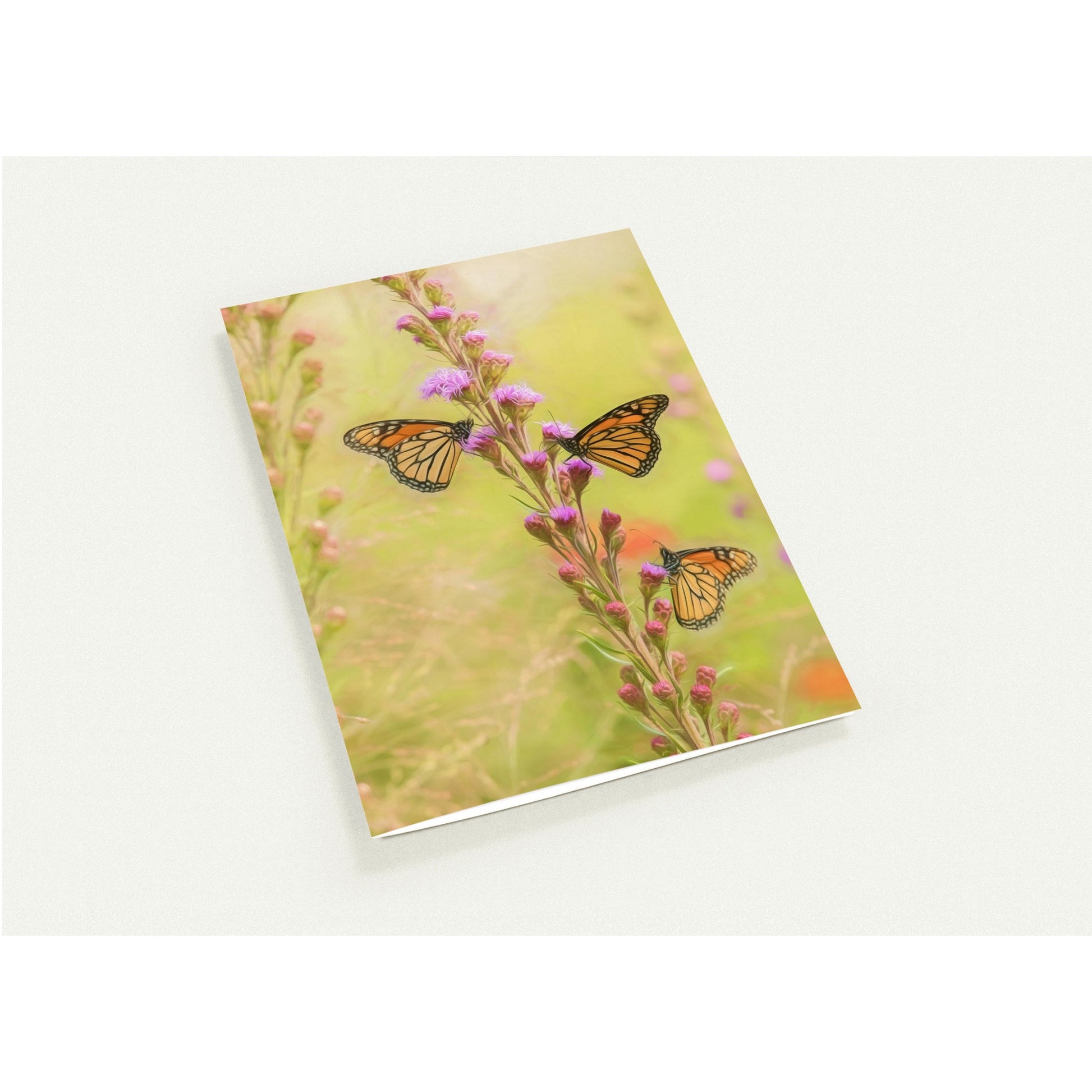 fdddead5-34f1-4434-ac5c-df515adc86da