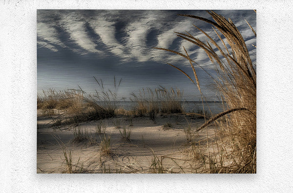 718398 :: Brushed Metal Print