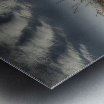 718398 :: Brushed Metal Print