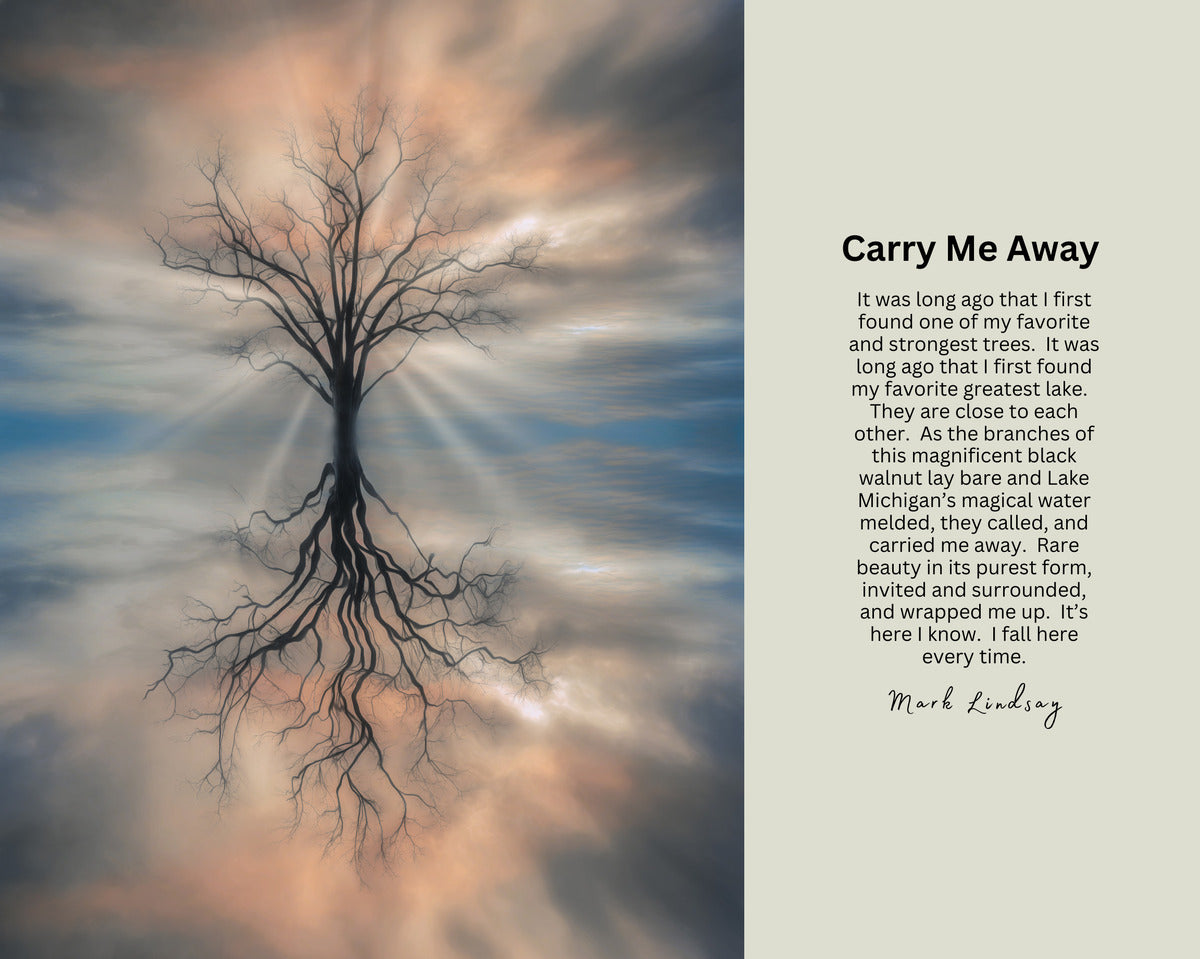 Inspirations:  Carry Me Away