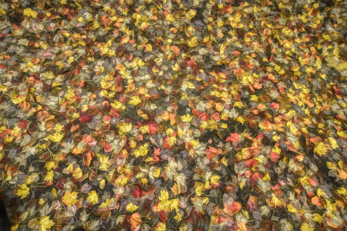 Van Gogh's Leaves of Fall