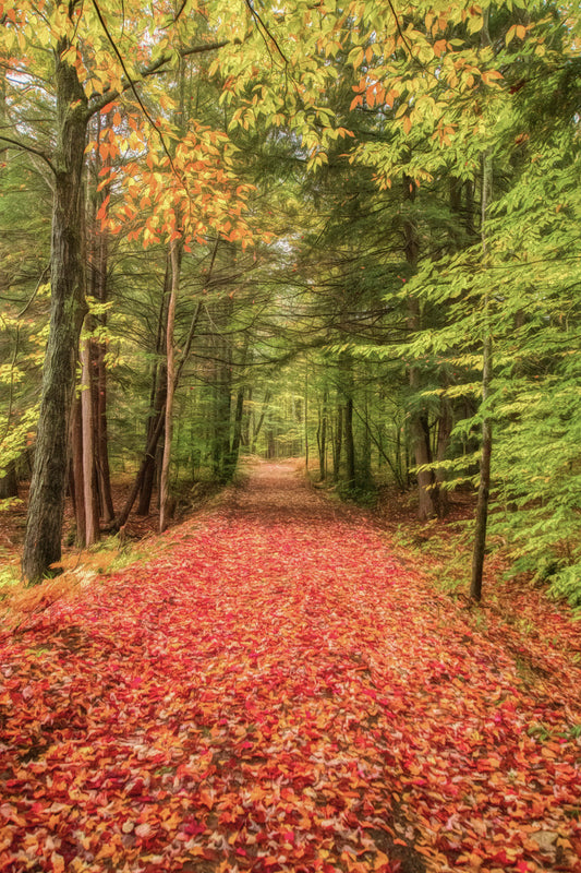 When Trees Speak