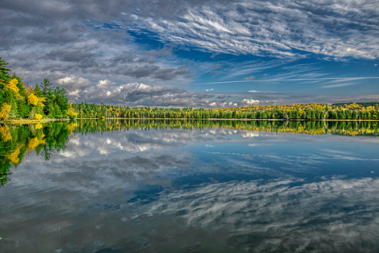 Quiet Reflection