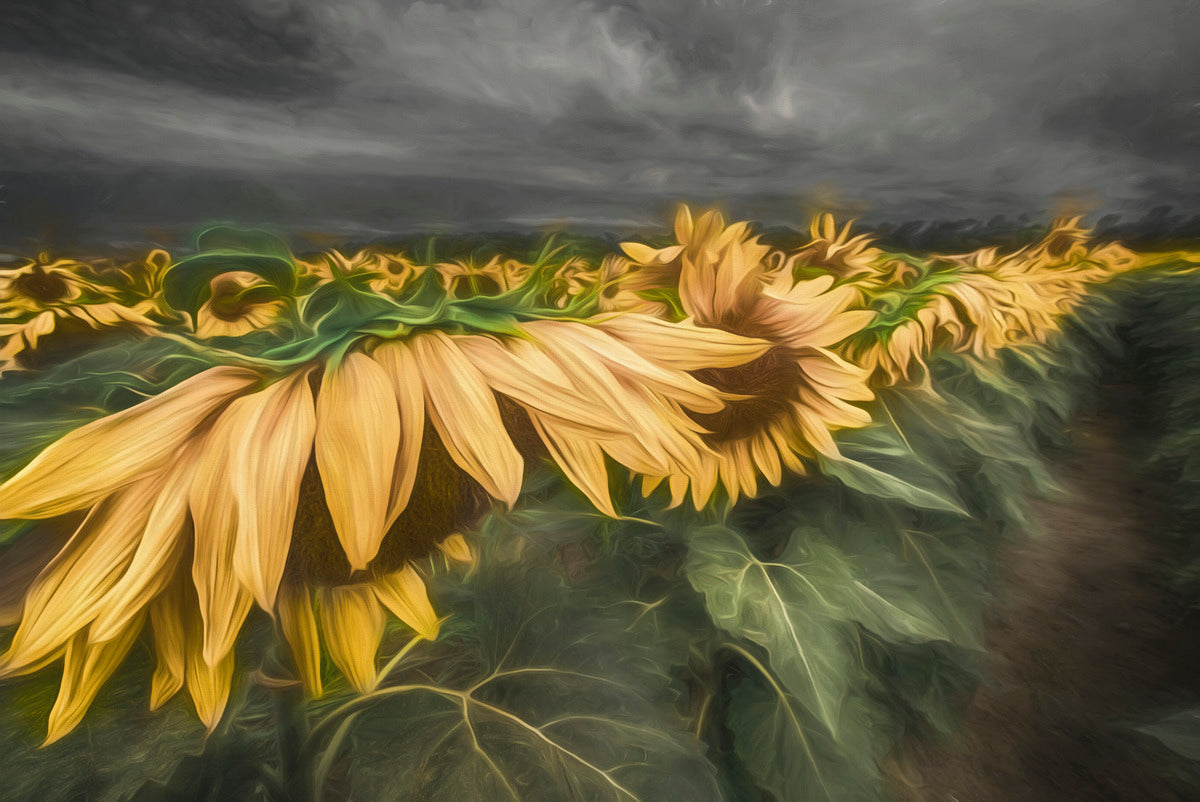 Giclee Rolled Canvas Print