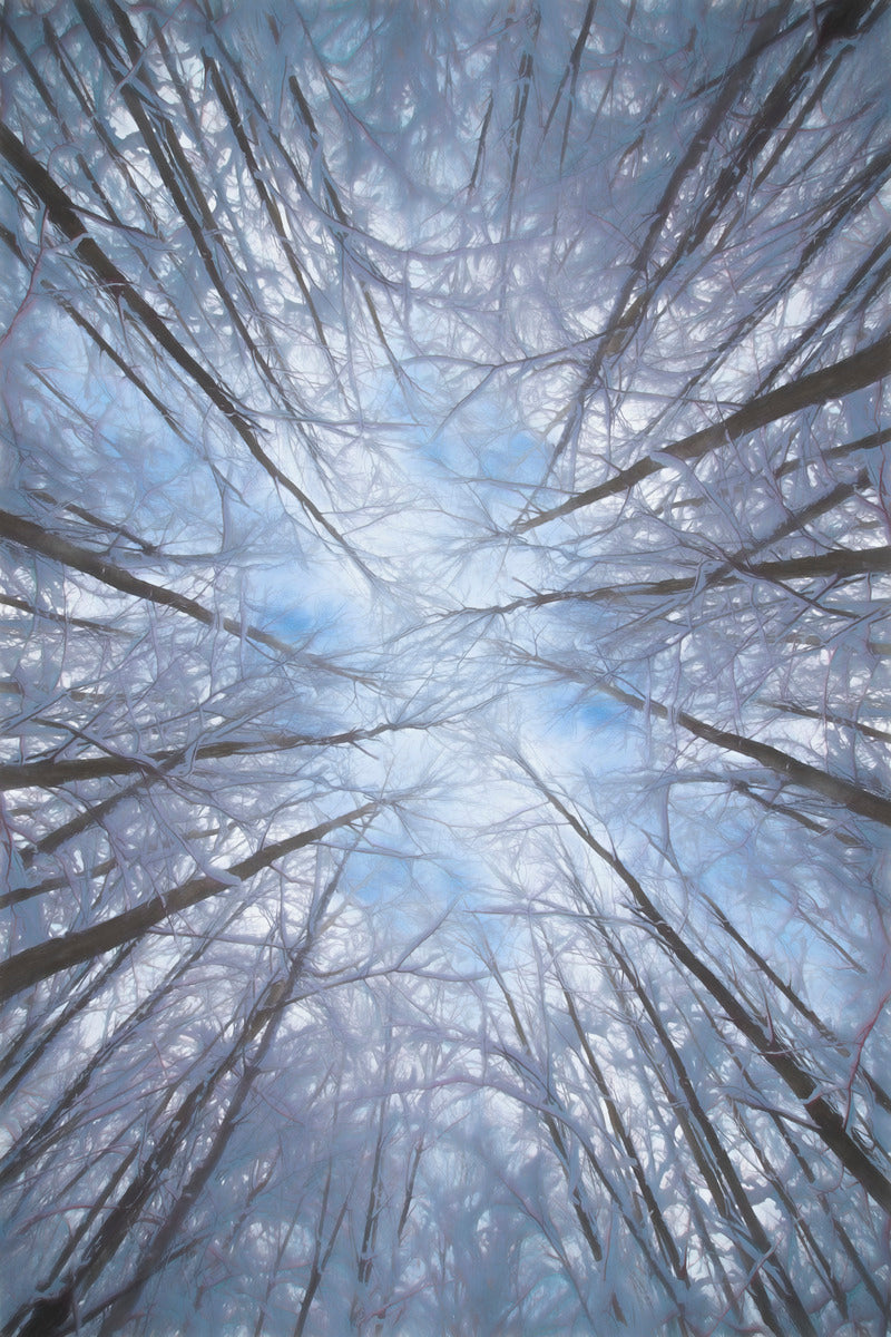 Giclee Rolled Canvas Print