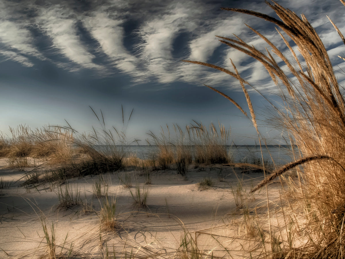Dune Grass on Good Harbor Bay