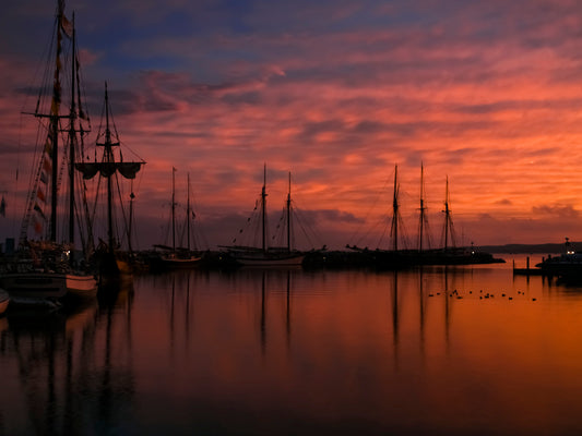 Morning with the Tall Ships