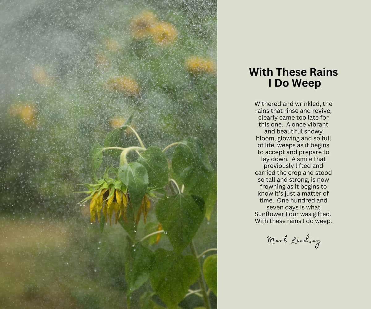 Inspirations: With These Rains I Do Weep