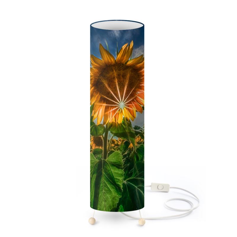Peeking Sun Designer Art Lamp