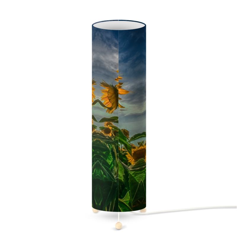Peeking Sun Designer Art Lamp