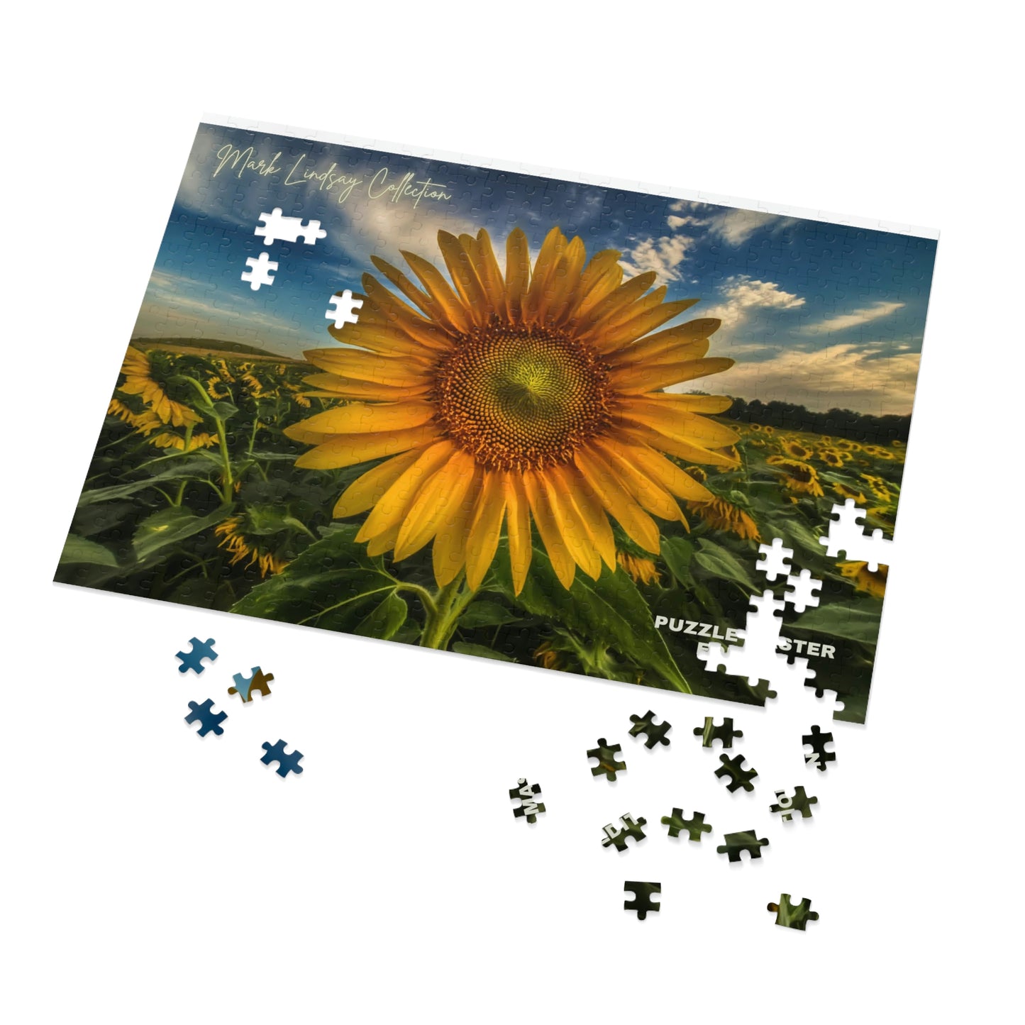 Sunflower Magic Jigsaw Puzzle Master (252, 500,1000-Piece)