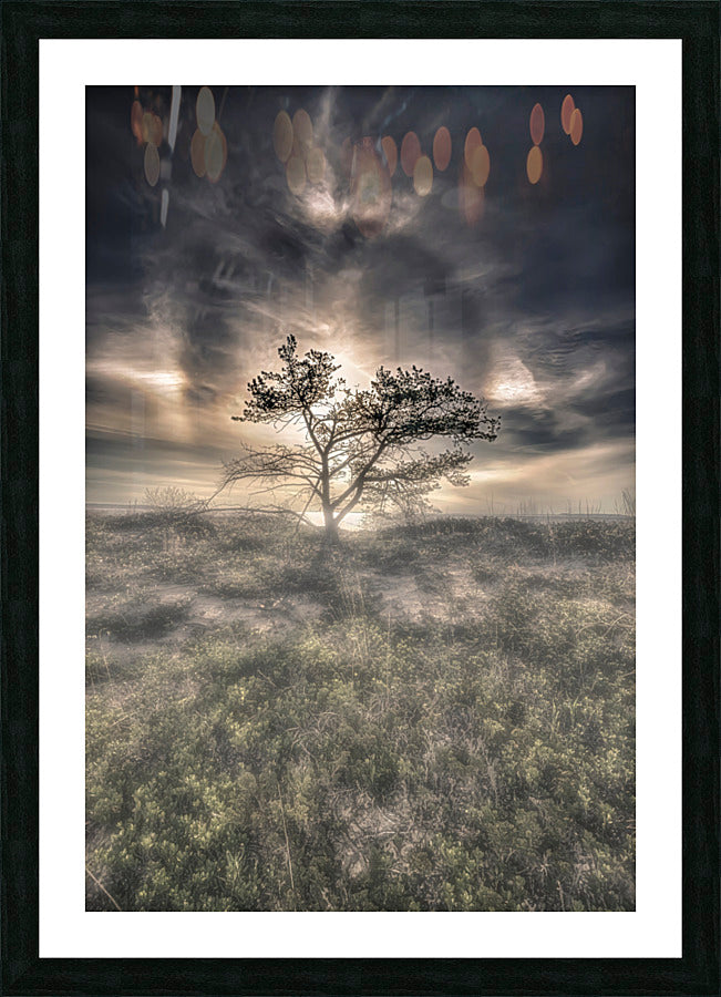 Framed Print