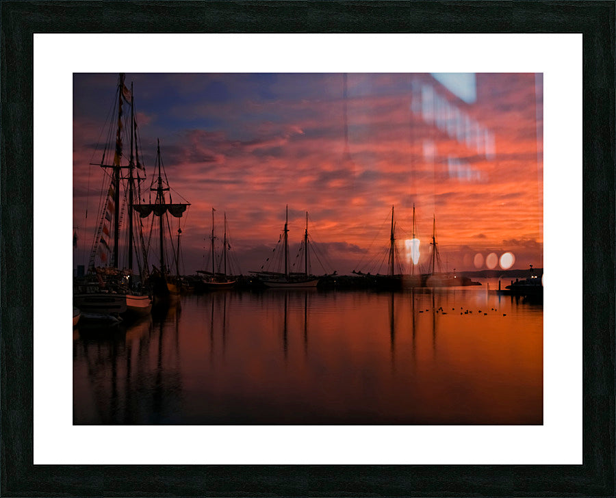 Framed Print
