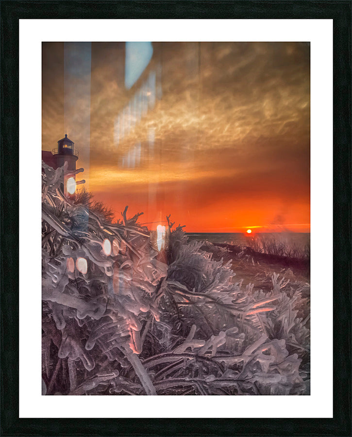 Framed Print