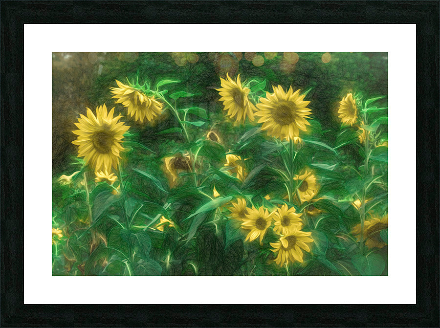 Framed Print