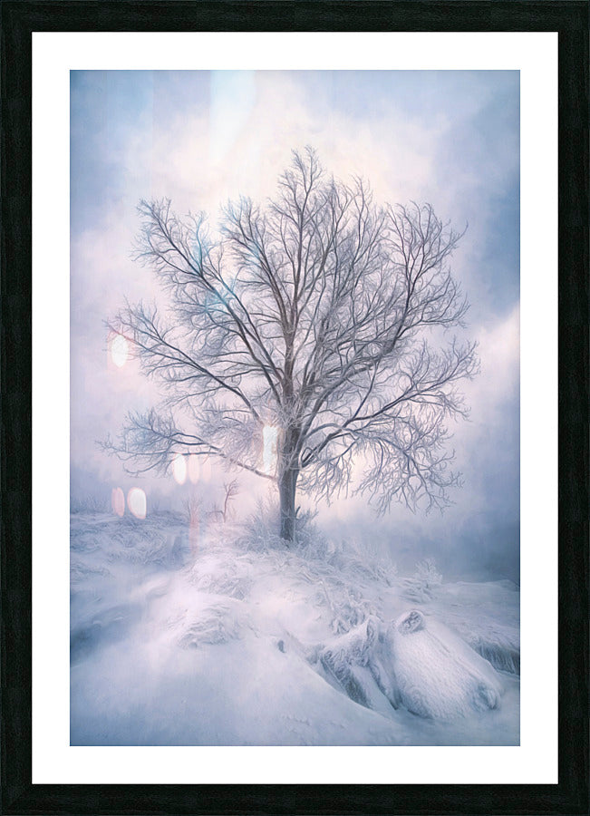 Framed Print