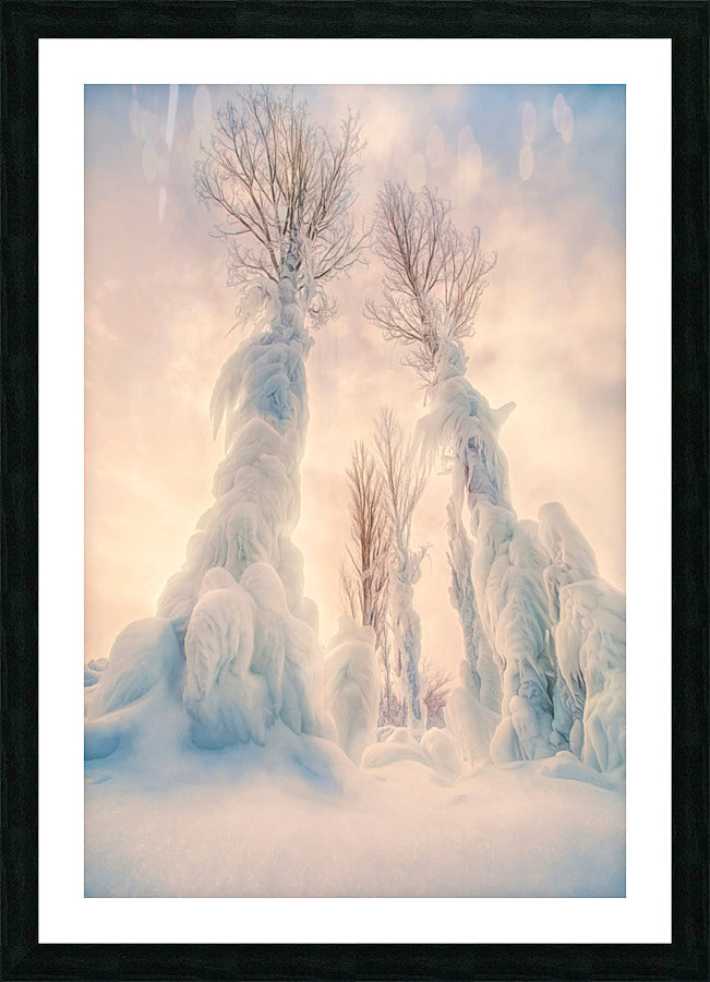 Framed Print