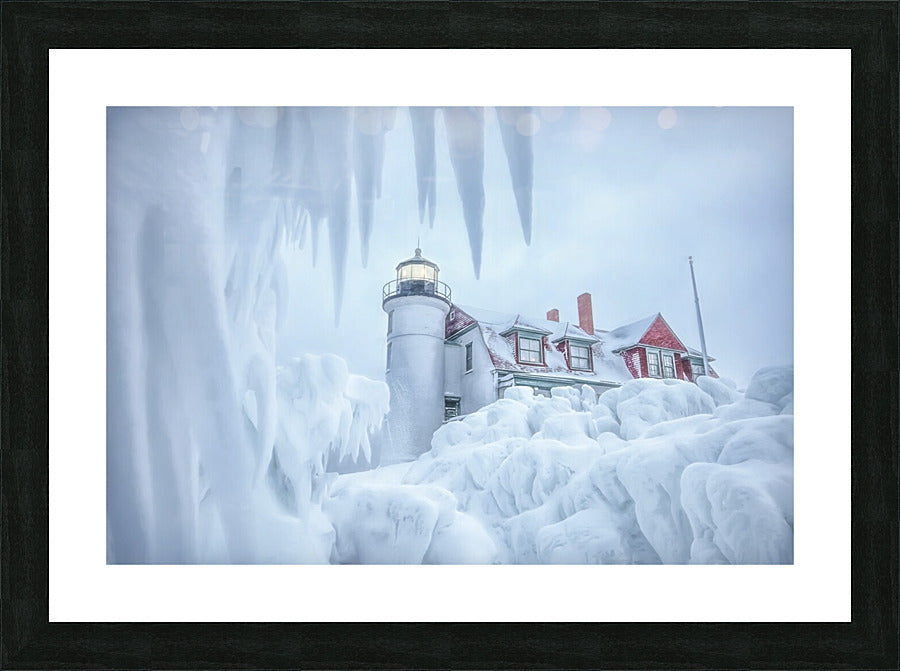 Framed Print