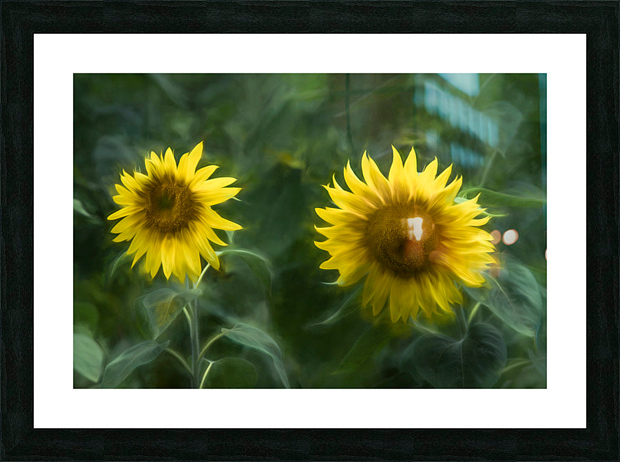 Framed Print
