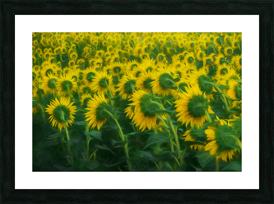 Framed Print