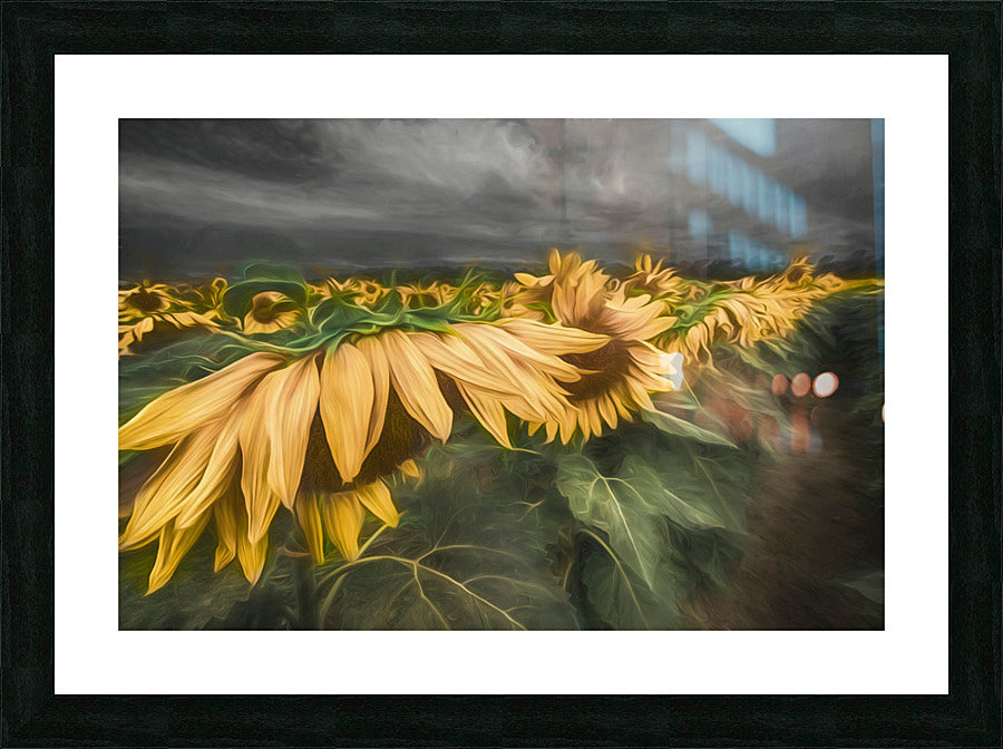 Framed Print
