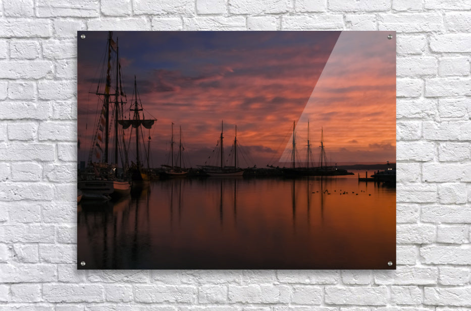 Acrylic Print
