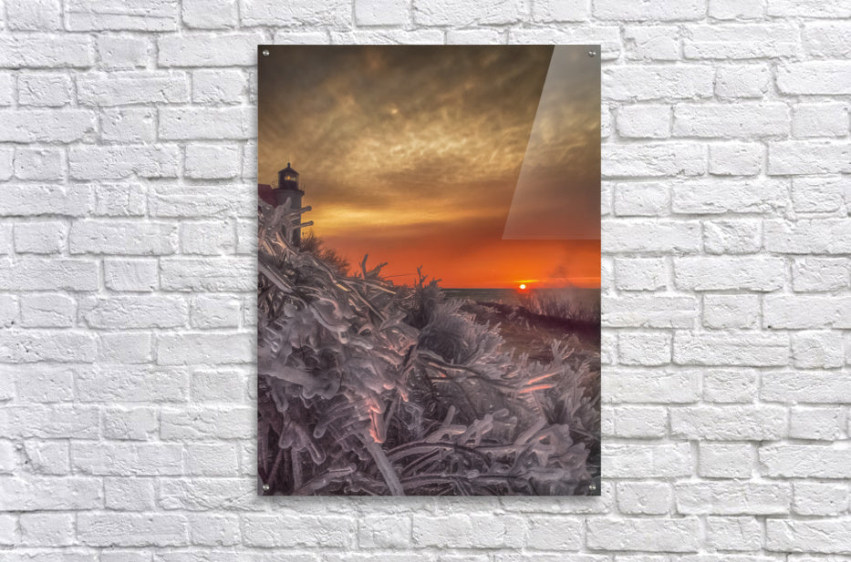 Acrylic Print