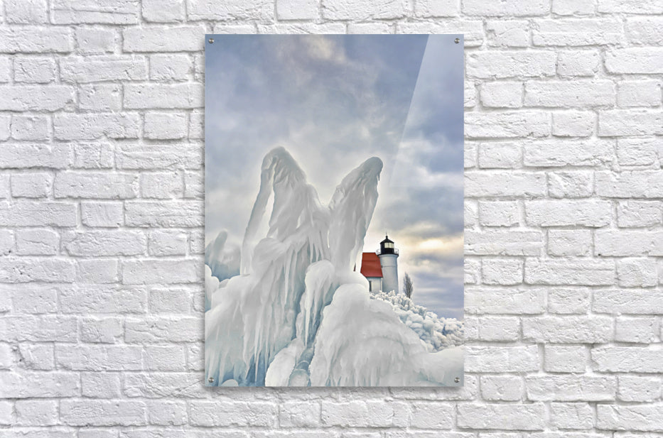 Acrylic Print