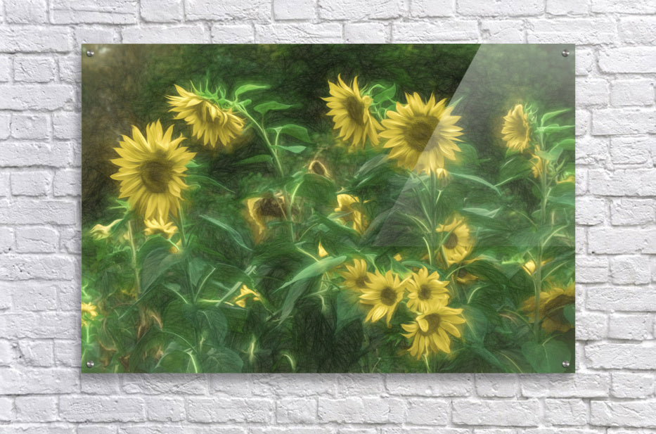 Acrylic Print
