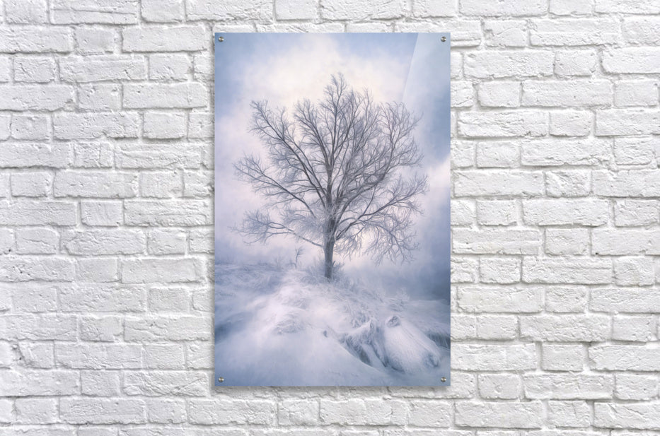 Acrylic Print