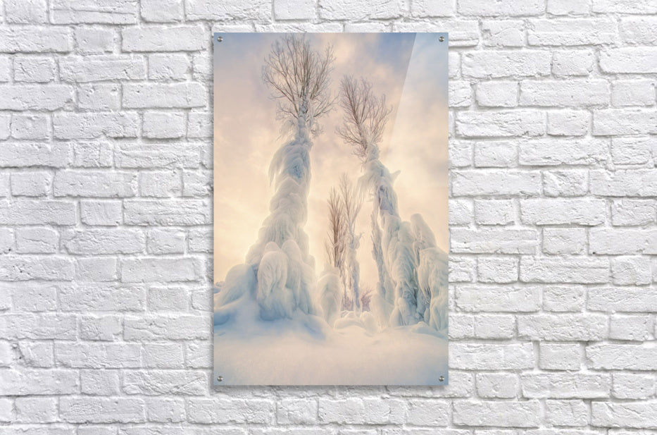 Acrylic Print
