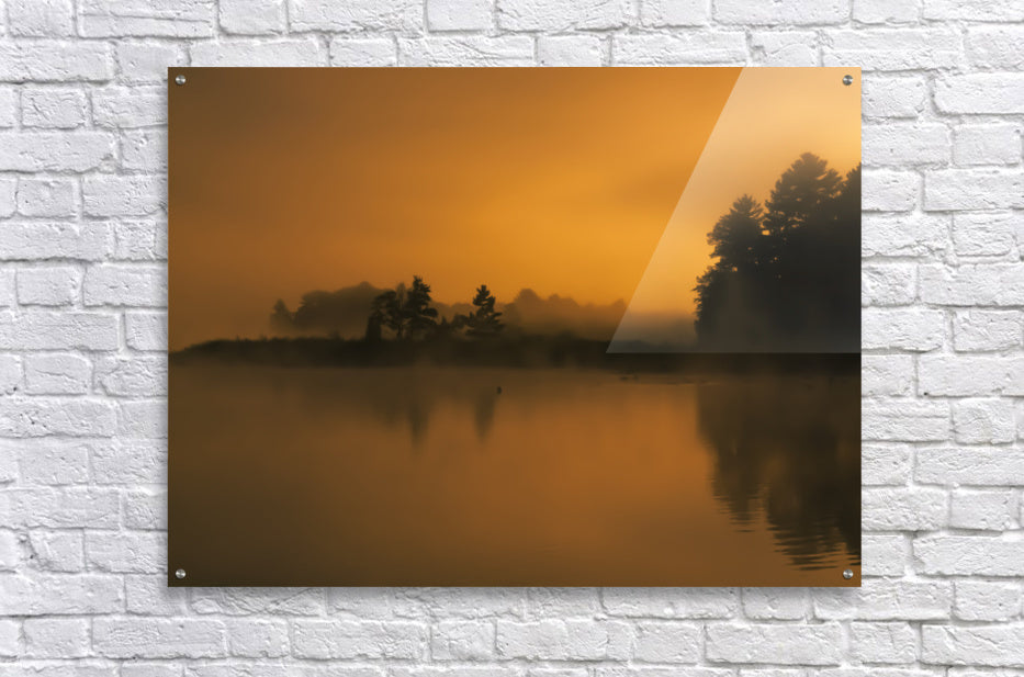 Acrylic Print