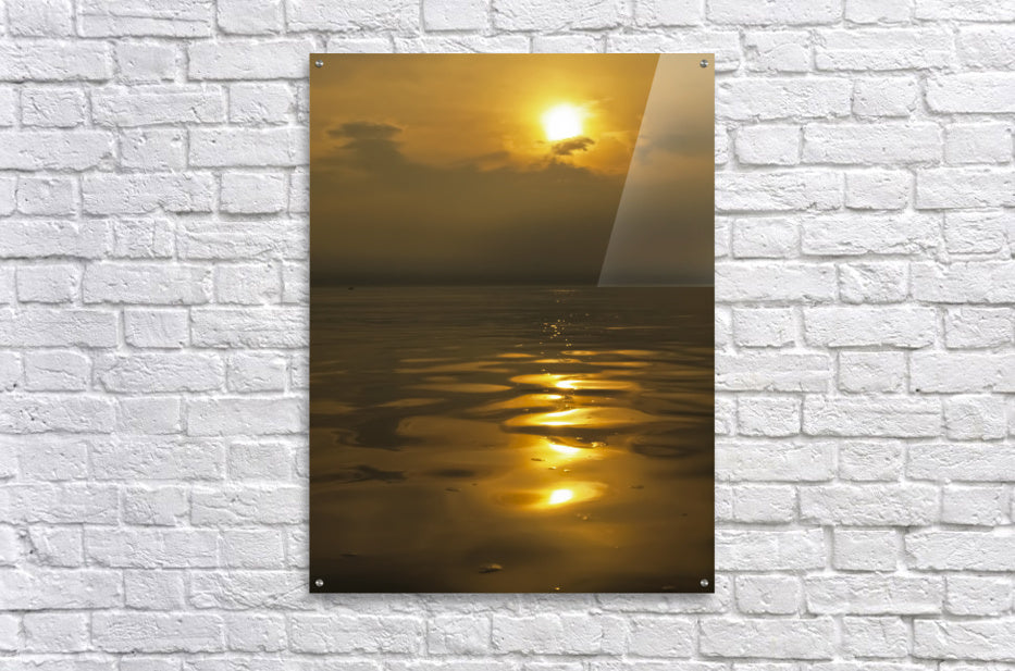 Acrylic Print