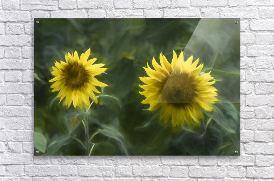 Acrylic Print