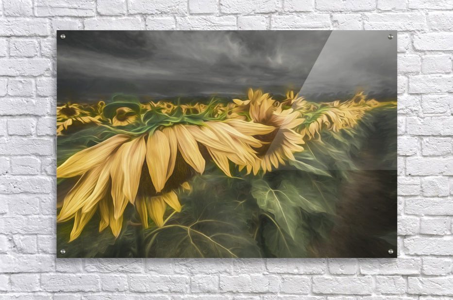 Acrylic Print