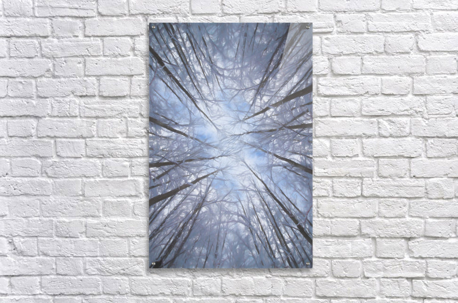 Acrylic Print