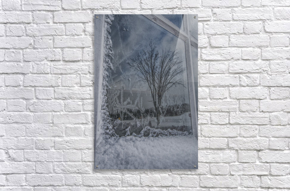 Acrylic Print
