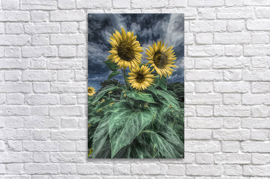 Acrylic Print