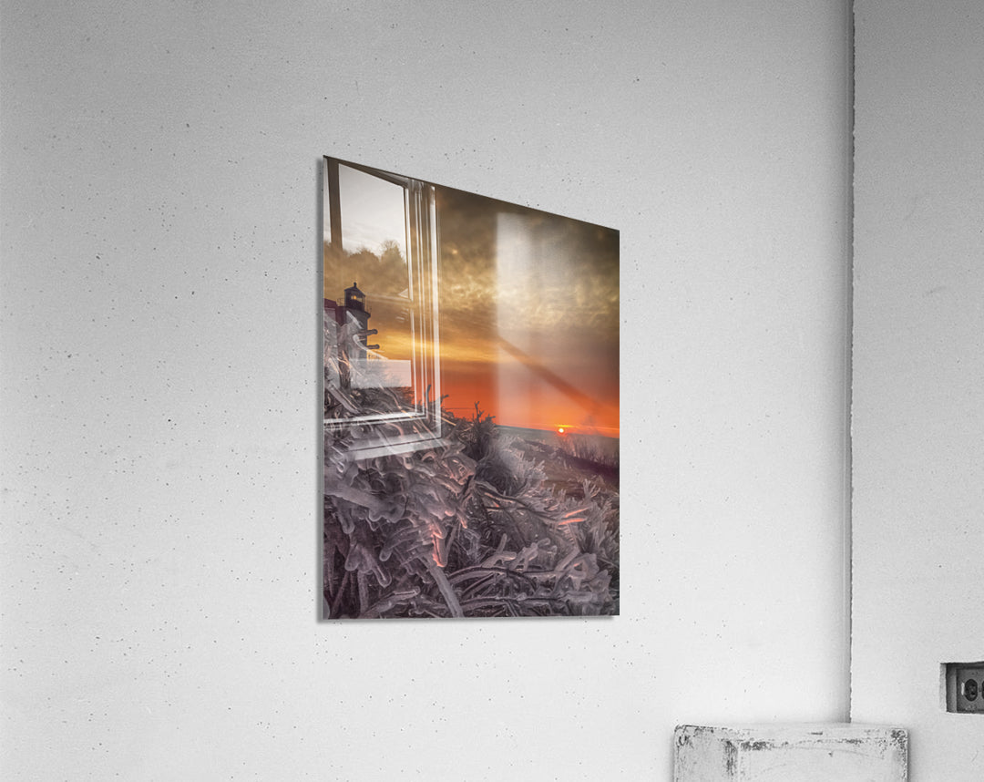 Acrylic Print