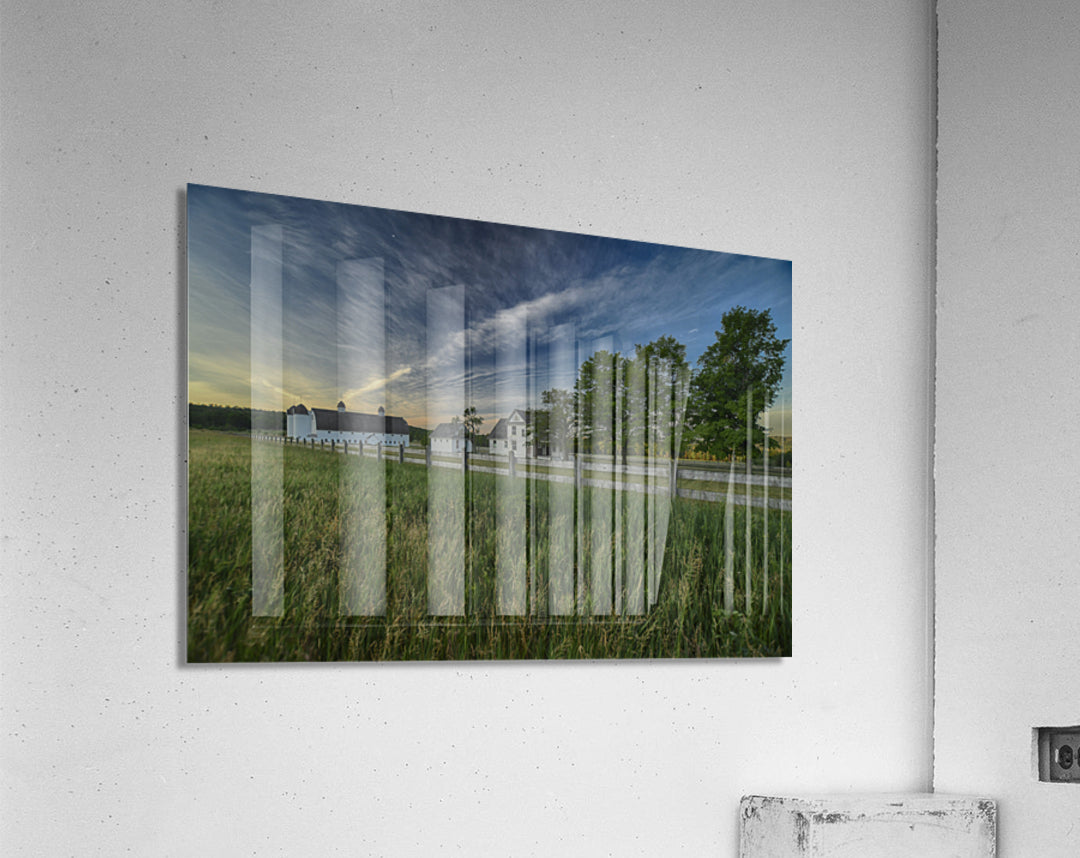 Acrylic Print