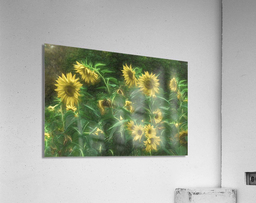 Acrylic Print