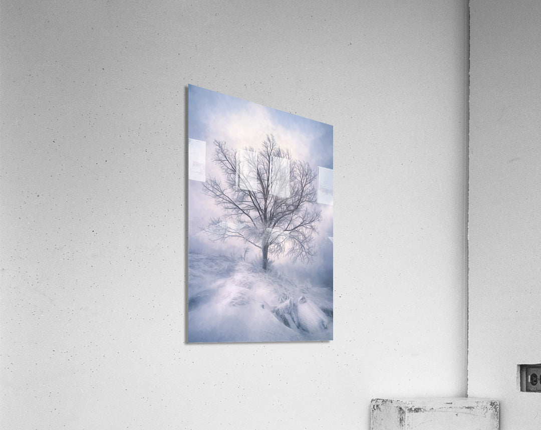 Acrylic Print