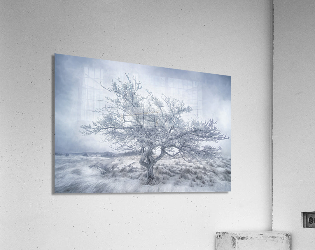 Acrylic Print