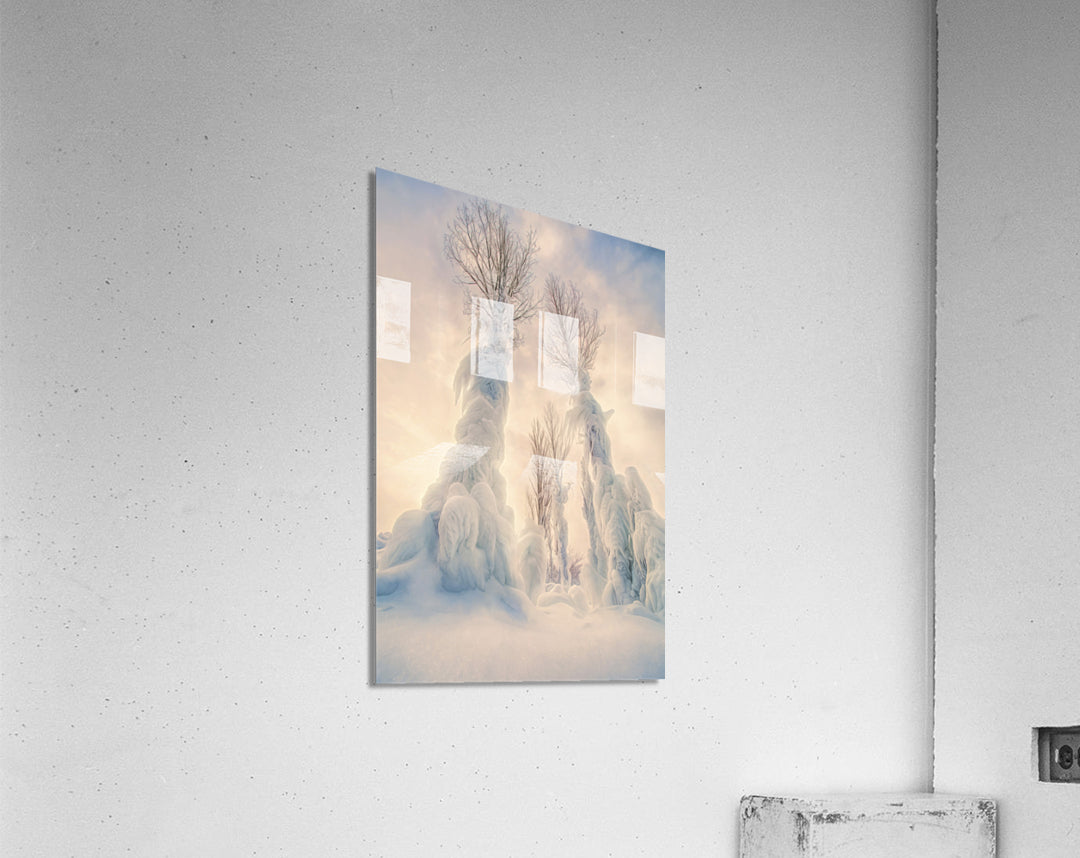 Acrylic Print
