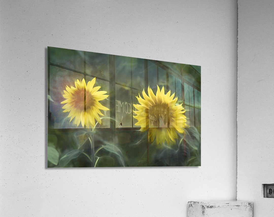 Acrylic Print