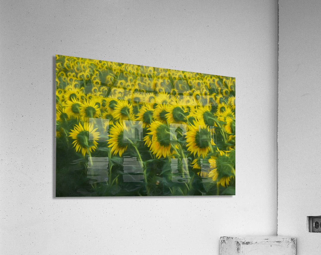 Acrylic Print