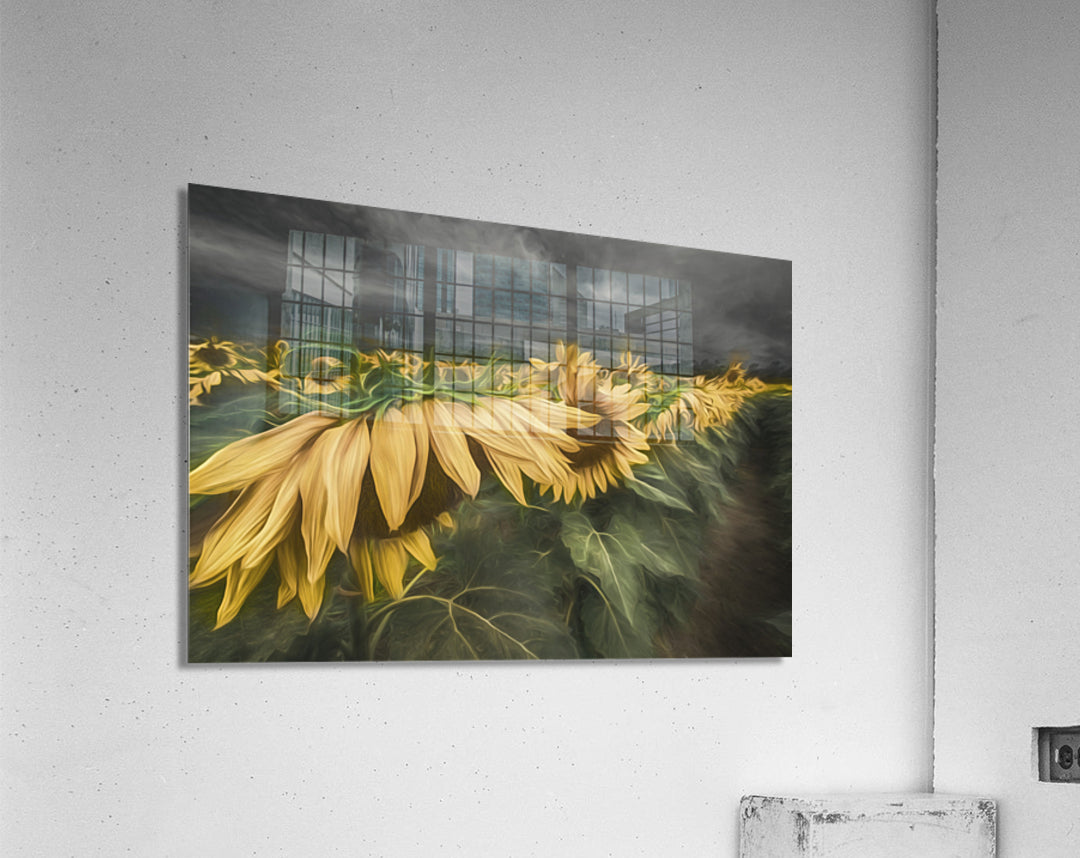 Acrylic Print
